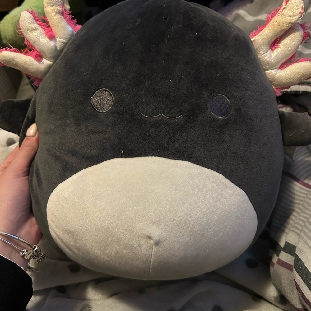 black axolotl squishmallow